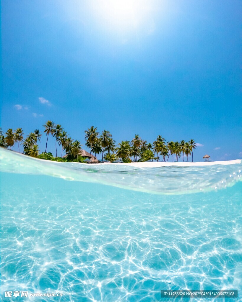 碧海蓝天椰林的水下美景