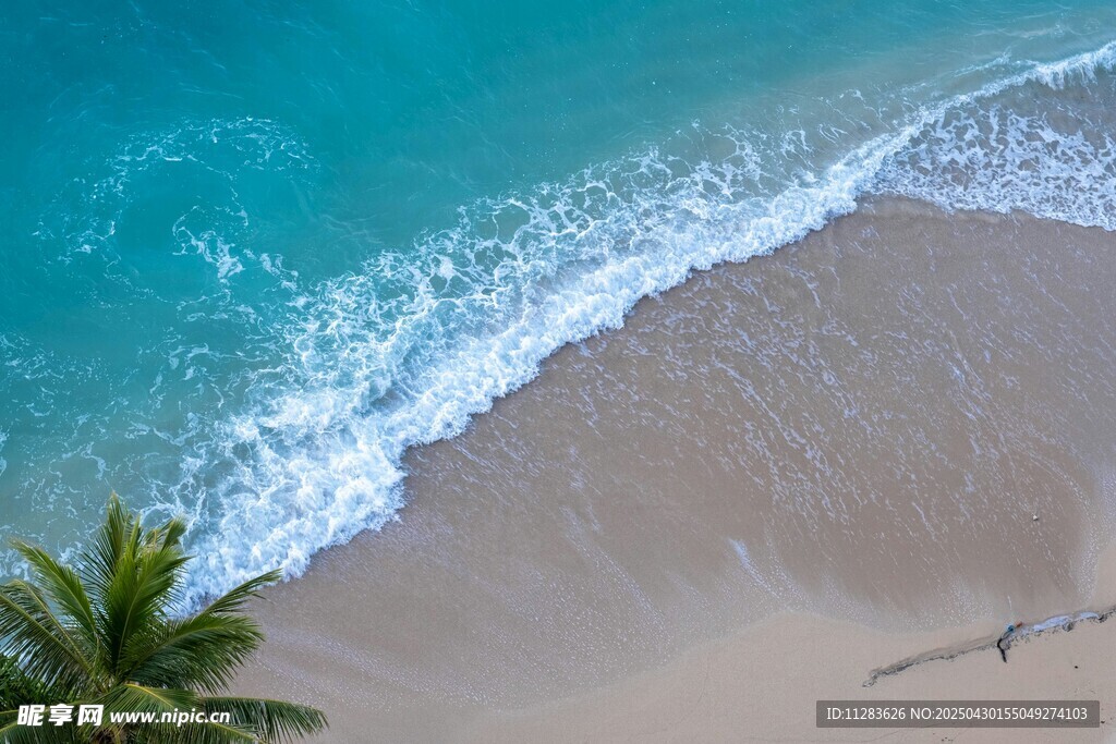 美丽海滩与海浪椰树景观