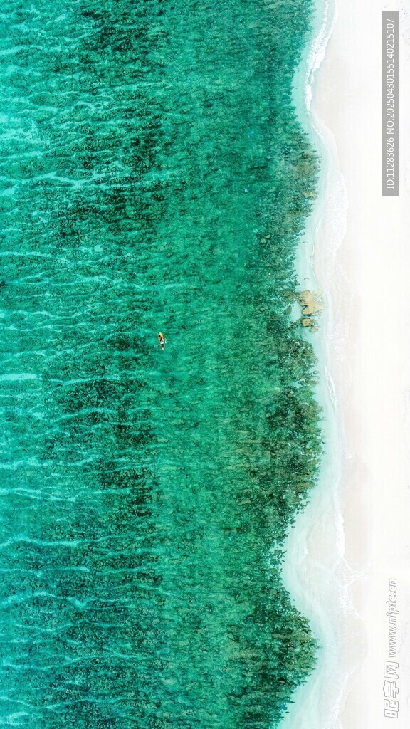翠绿海岸线