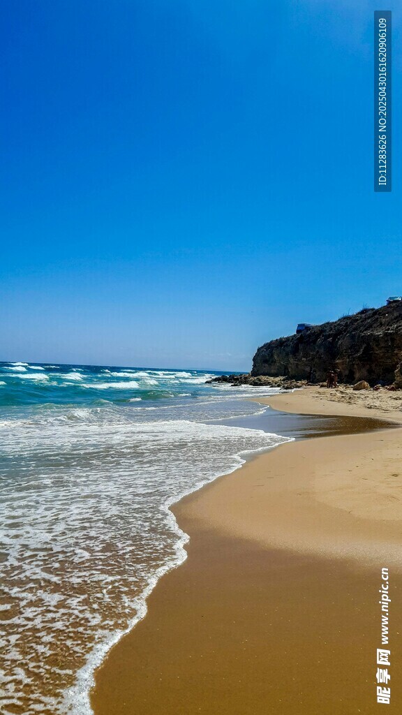 美丽海滨沙滩风景画面