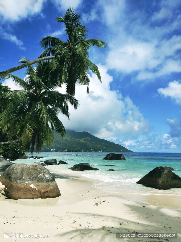 美丽热带海滩风光