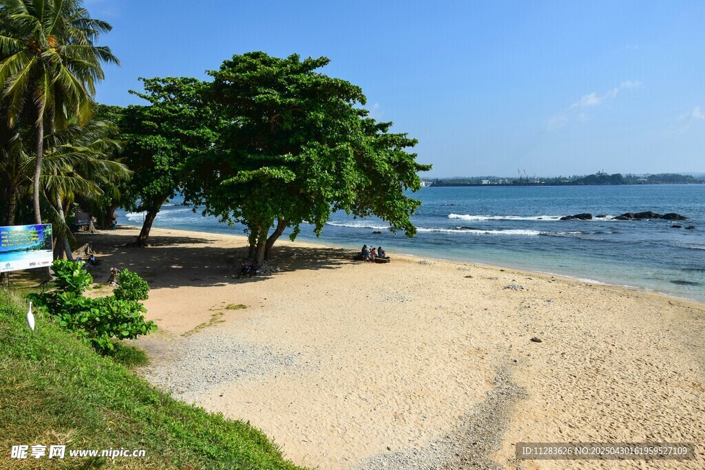 美丽热带海滩风光