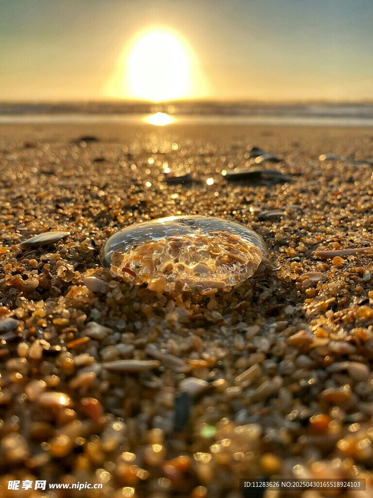 沙滩上的戒指与落日美景