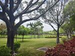 城市公园大学校园小景
