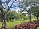 城市园林公园小景