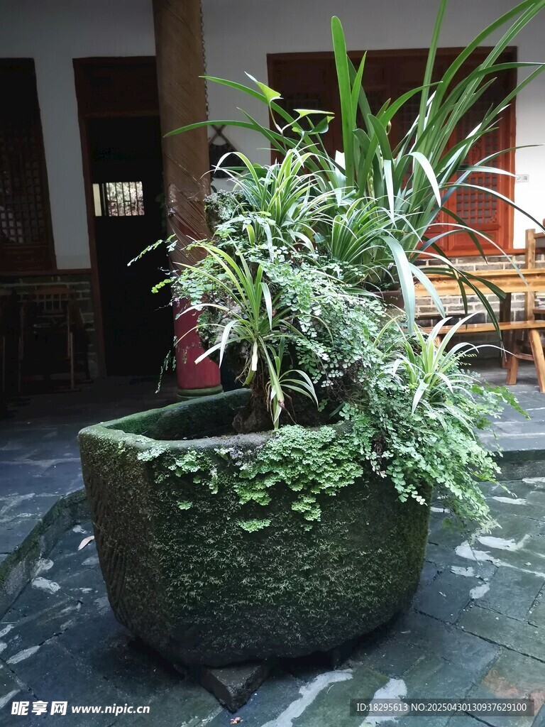 水缸