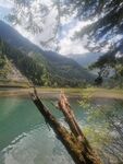 湖畔枯木与青山绿水美景
