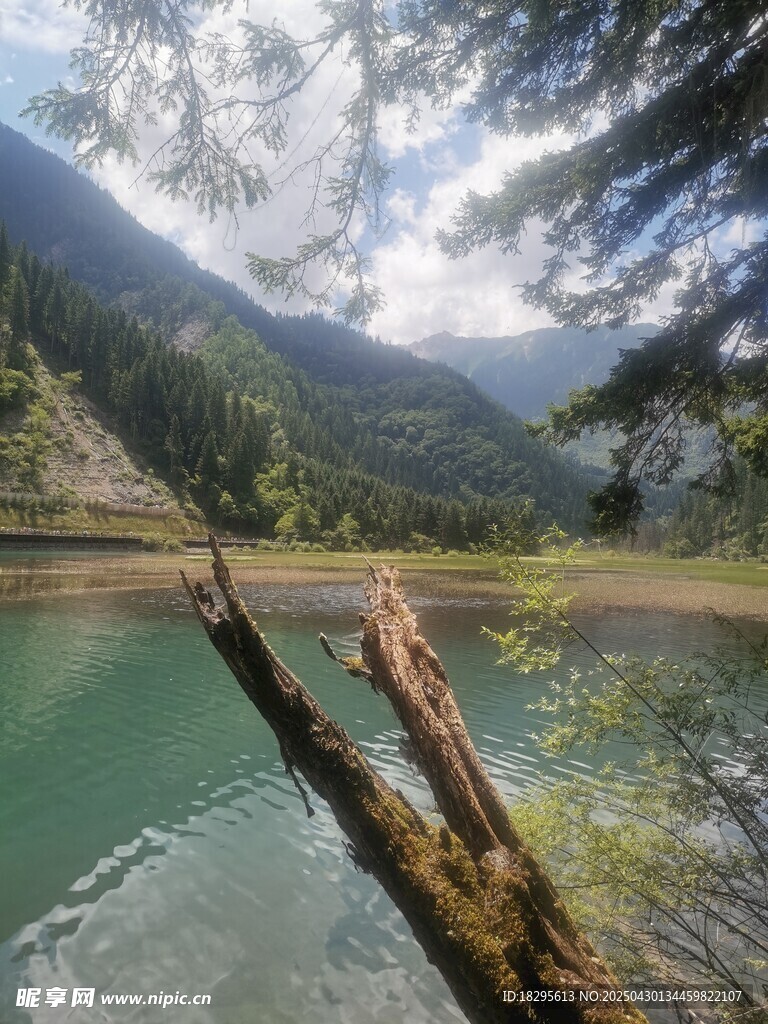 湖畔枯木与青山绿水美景