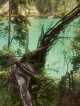 森林中的碧绿幽美湖泊