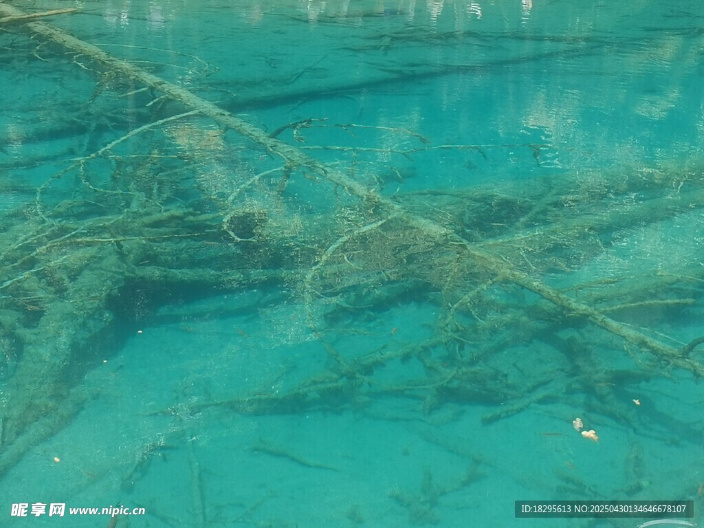 清澈蓝绿水域水下景象