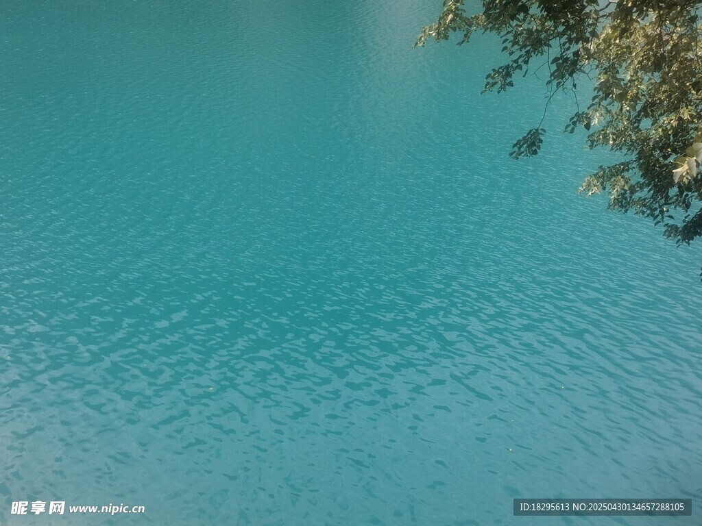清澈蓝湖水畔绿意点缀