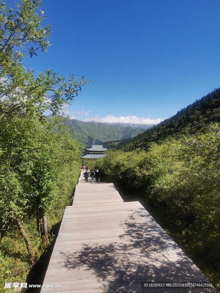 山间步道 绿意环绕的美景