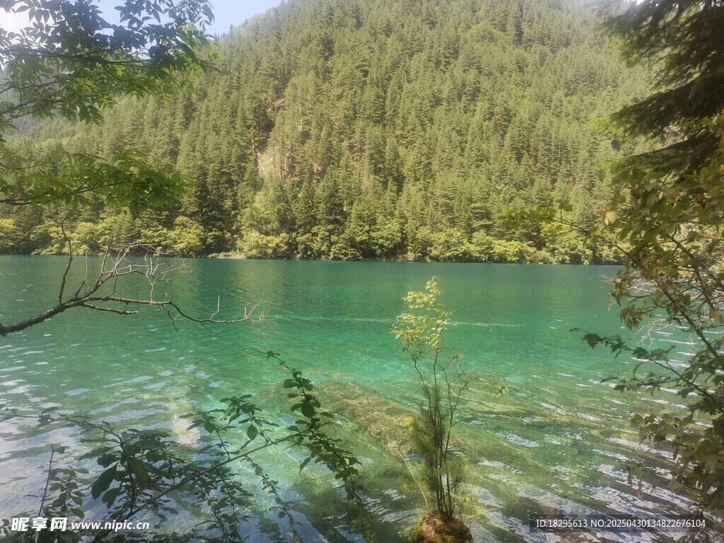 翠绿山林间的澄澈湖水