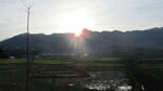 日出下的田野与远山