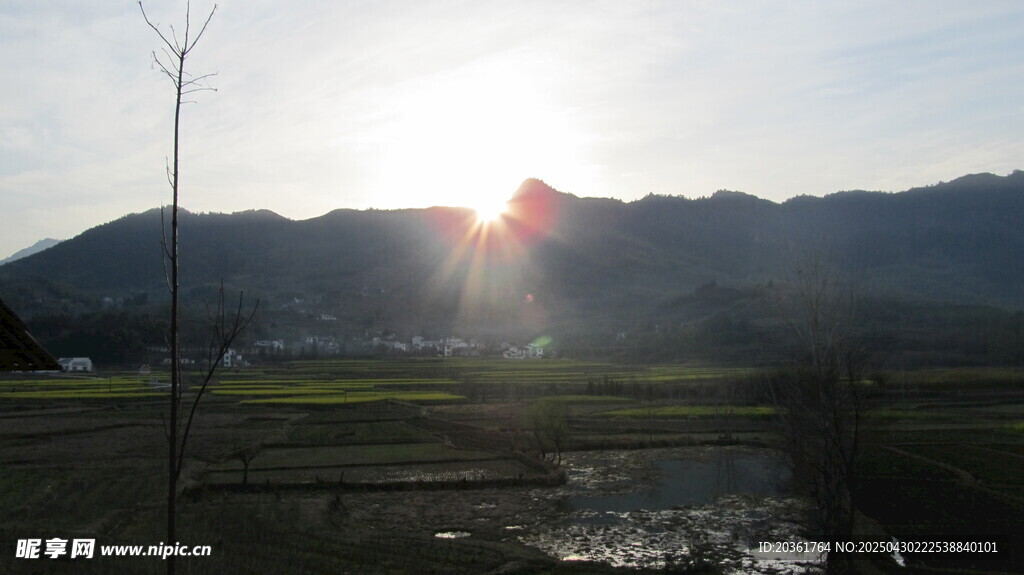 日出下的田野与远山