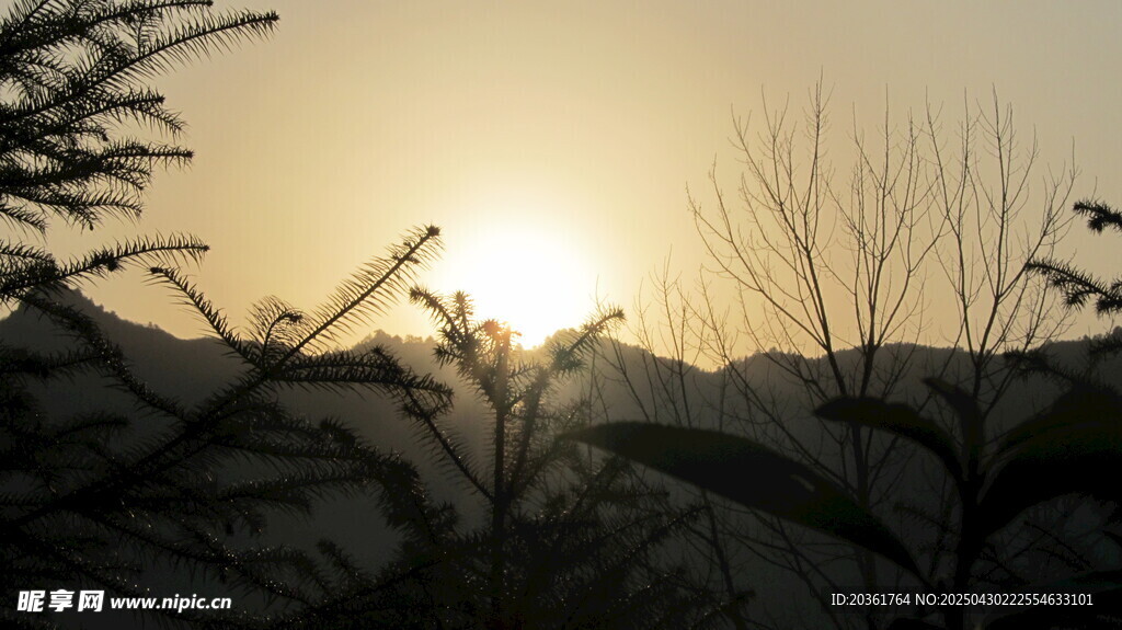夕阳下的山林剪影