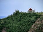 山顶古亭隐于葱郁绿植间