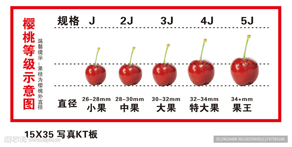 樱桃规格等级示意图