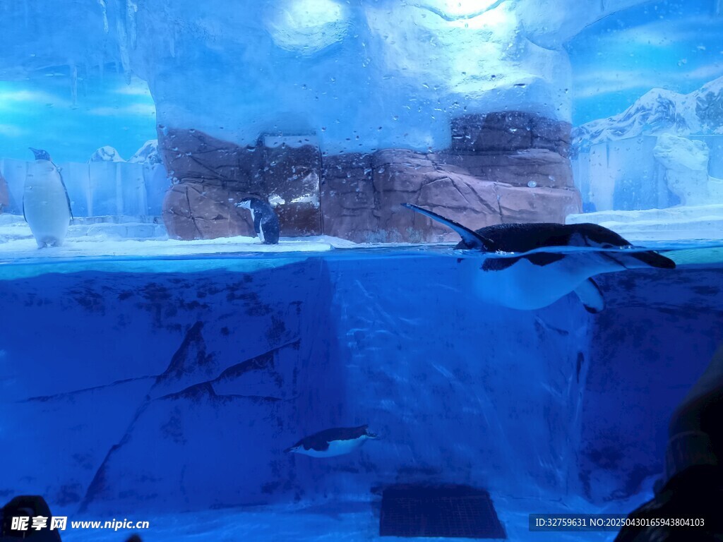海底