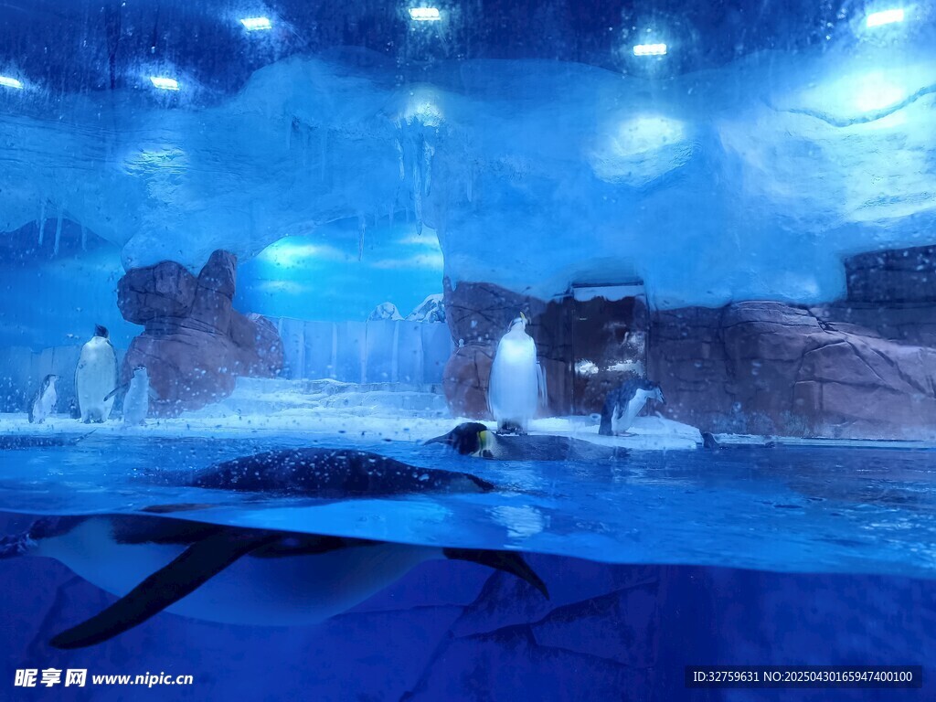 海底