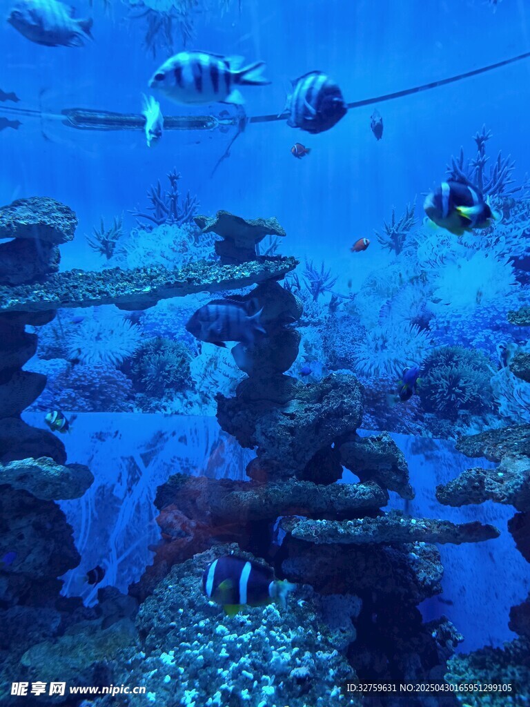 海底