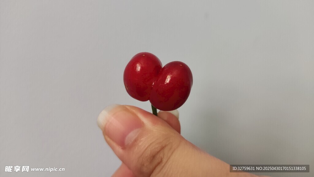 红樱桃