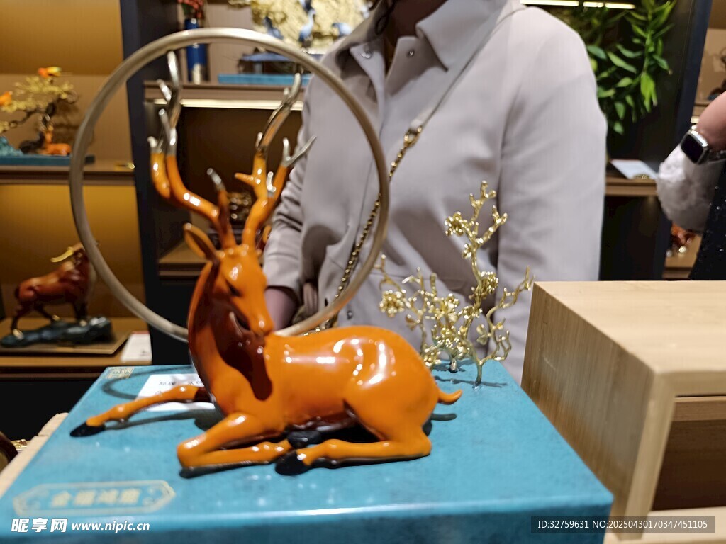  小鹿