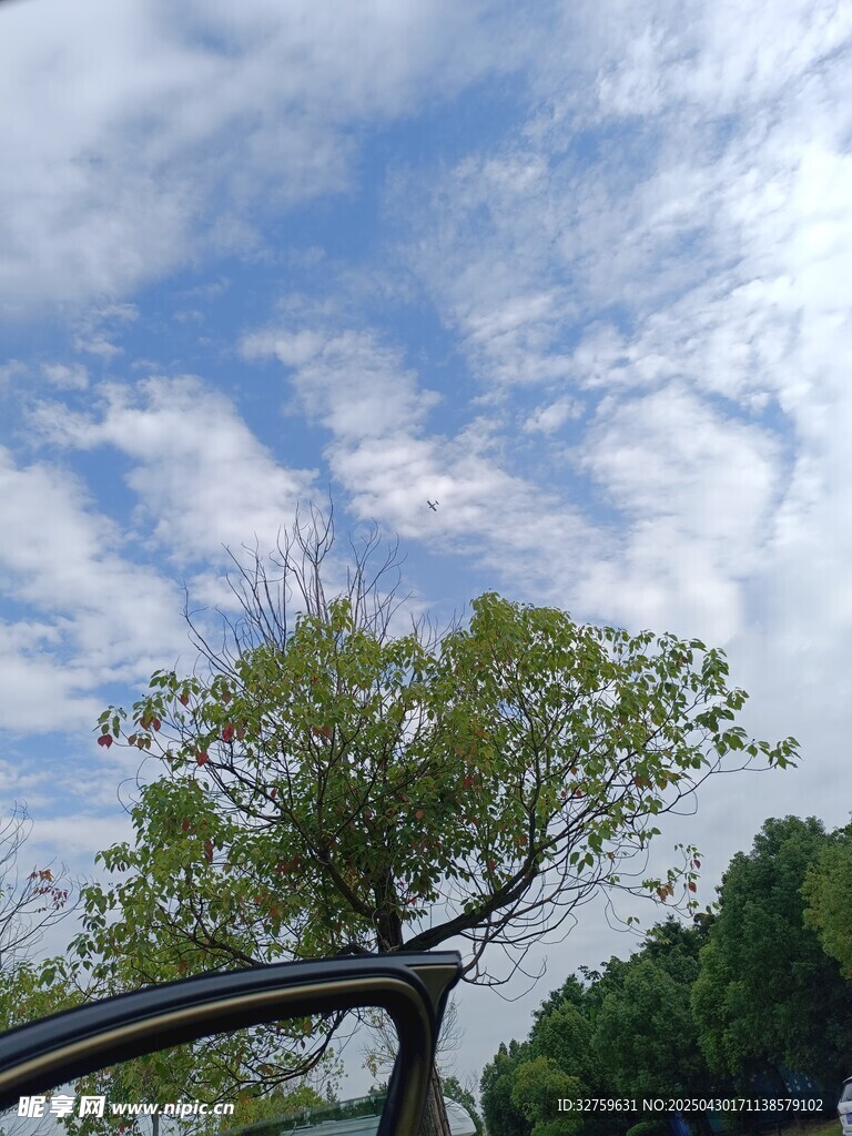 蓝天