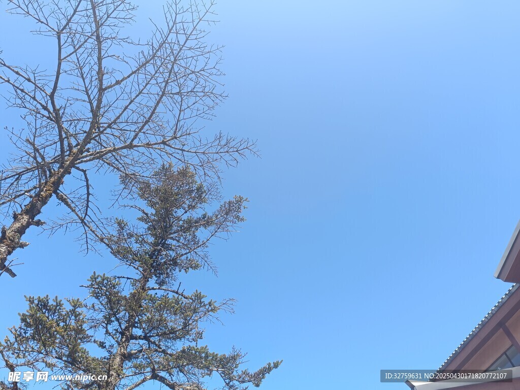 蓝天