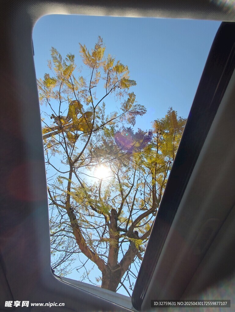 树