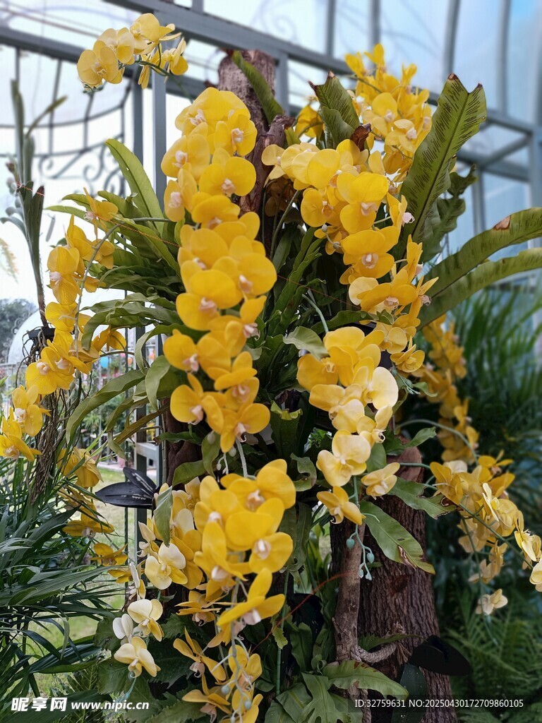 花