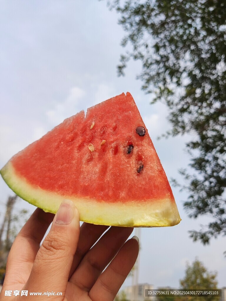 西瓜