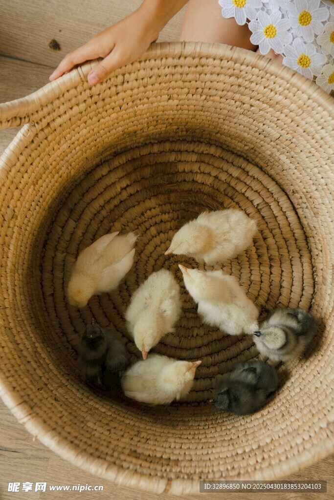 竹篮中的特色海味干货