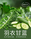 杯贴 羽衣甘蓝