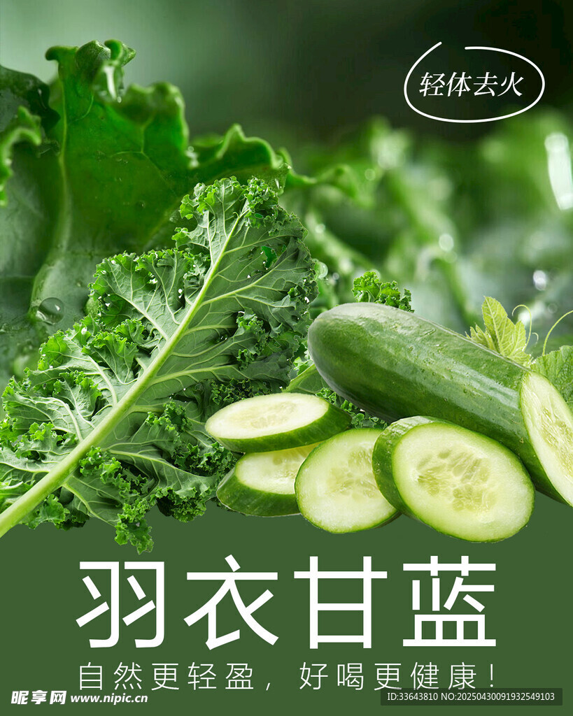 杯贴 羽衣甘蓝