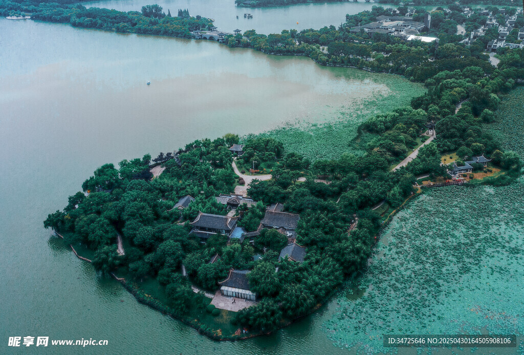 湖中小岛绿意盎然景观美