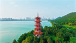 湖畔红塔映翠景