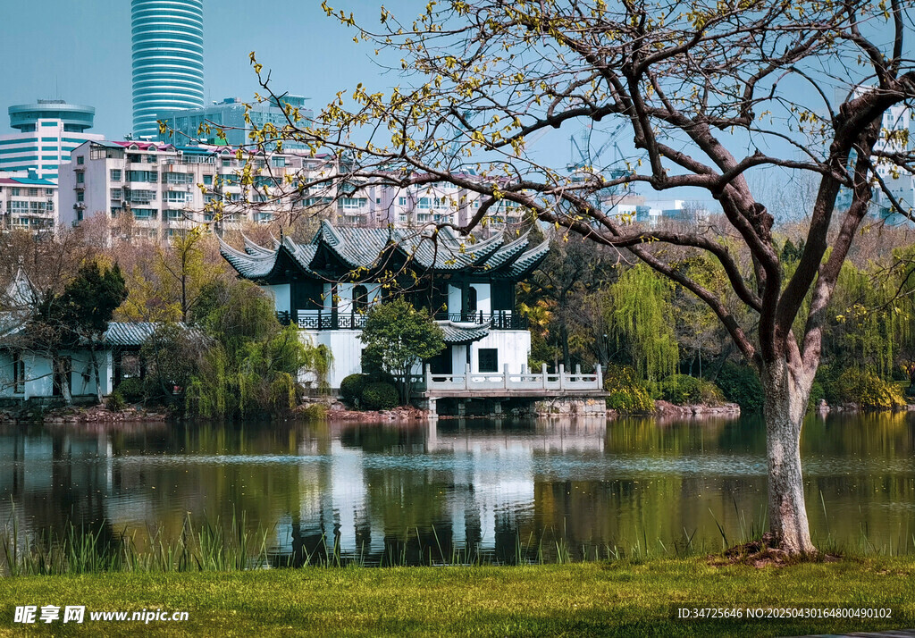 湖畔中式建筑与繁茂树木