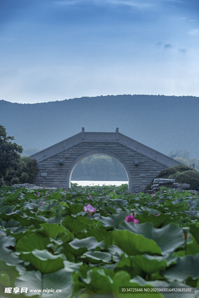 荷塘拱桥景 远山映蓝天