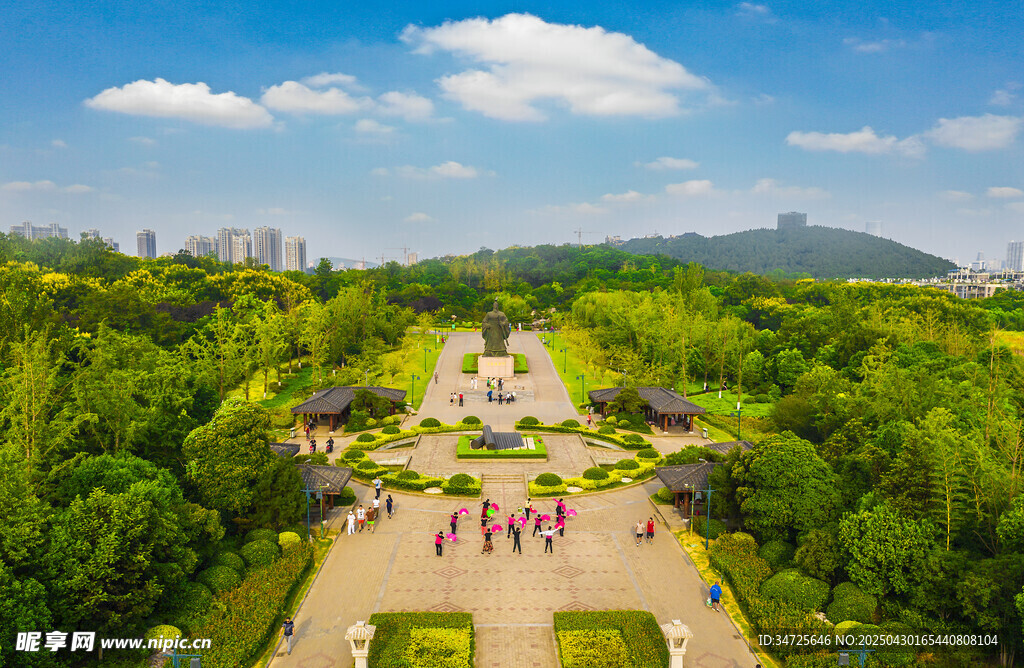 城市中的绿意公园景观