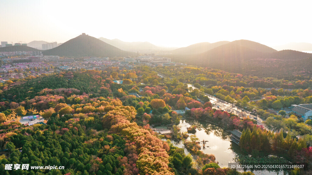 秋日山林河流壮丽风光