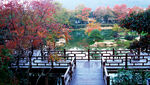 秋日园林木桥美景