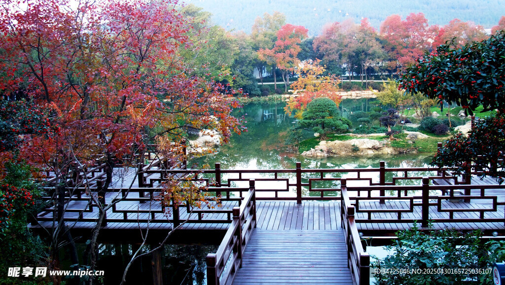 秋日园林木桥美景