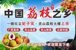 荔枝妃子笑海报