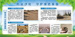 防治沙化守护绿色家园