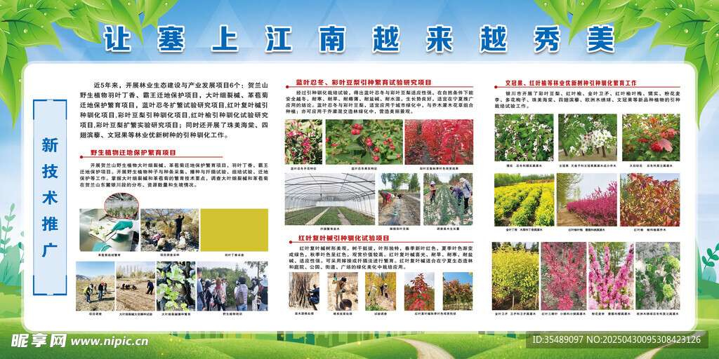 花卉技术推广宣传展板