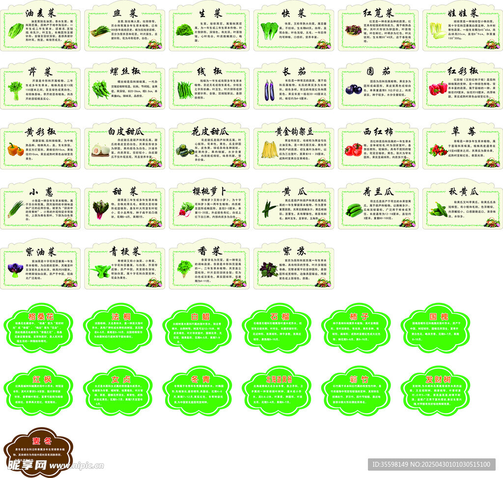食品标签及绿色标识集合