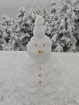 雪