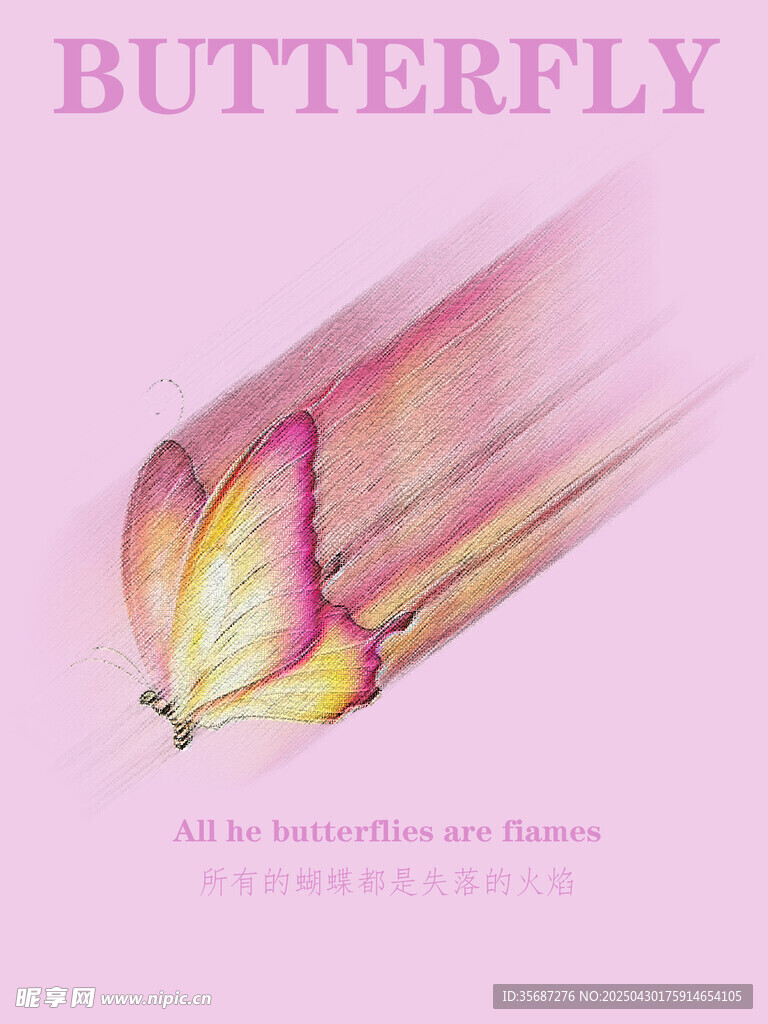 梦幻蝴蝶翅膀特写