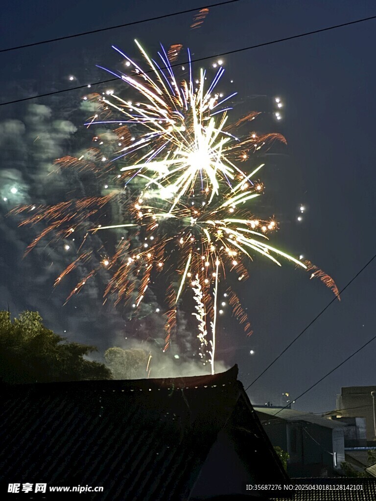 夜空中绚烂的烟花绽放